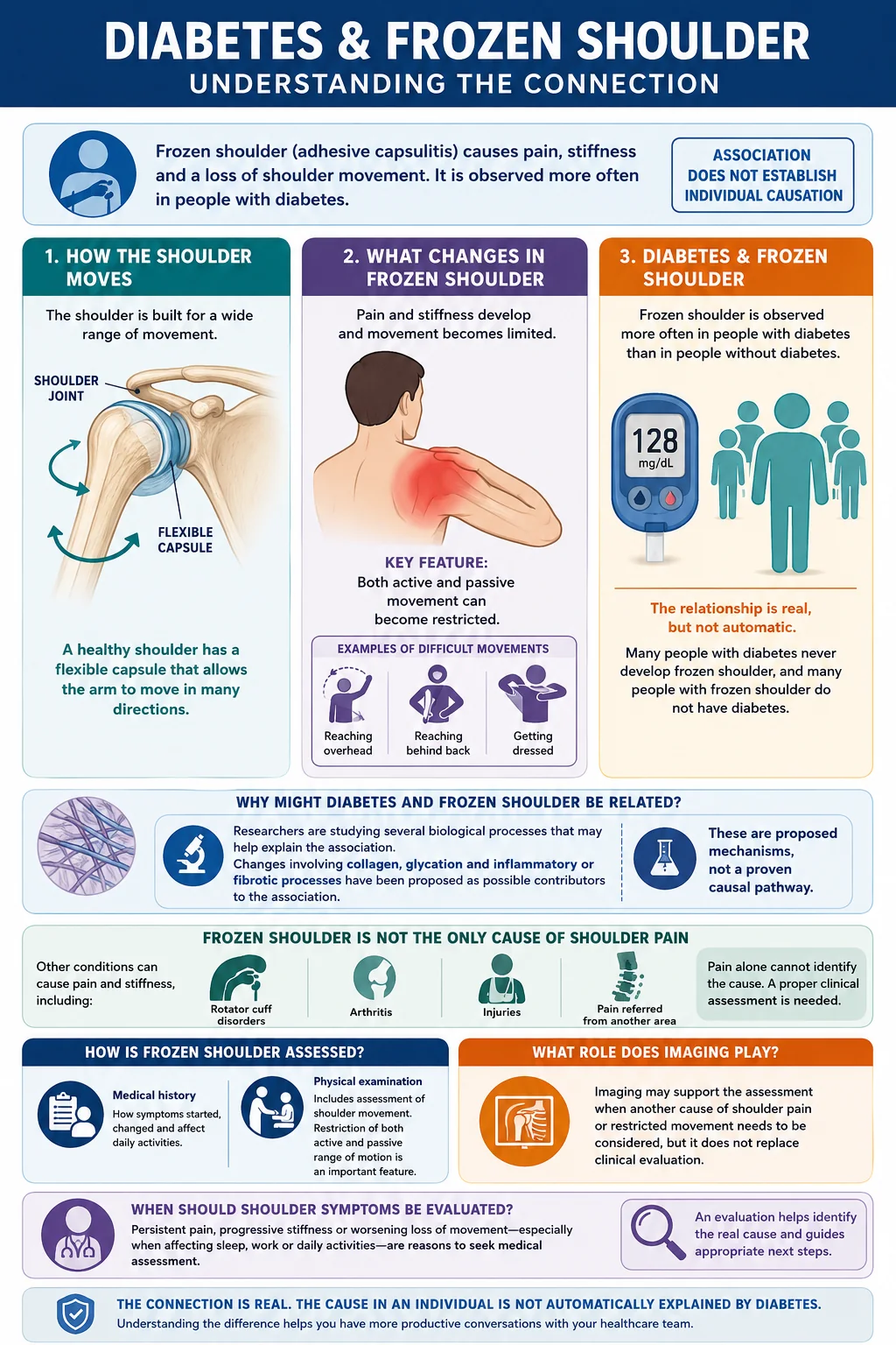 Infographic explaining normal shoulder movement, frozen shoulder, its association with diabetes, proposed mechanisms, other causes of shoulder pain, clinical assessment and imaging