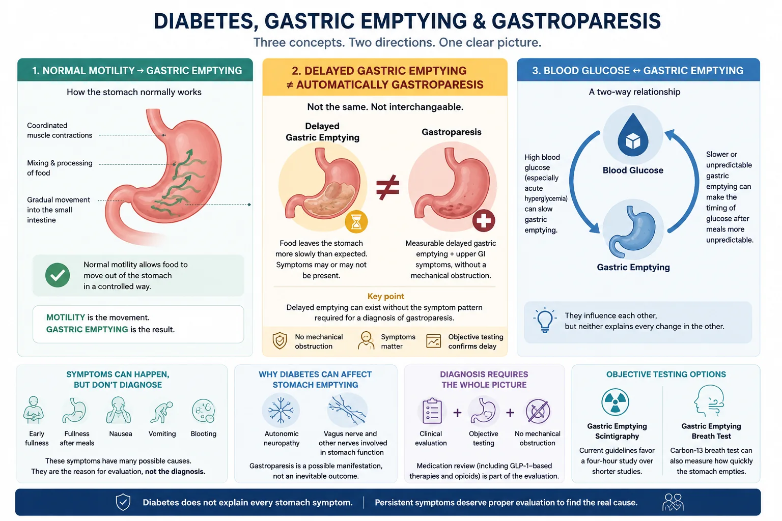 Infographic explaining normal gastric motility and emptying, delayed gastric emptying versus gastroparesis, and the two-way relationship between blood glucose and gastric emptying