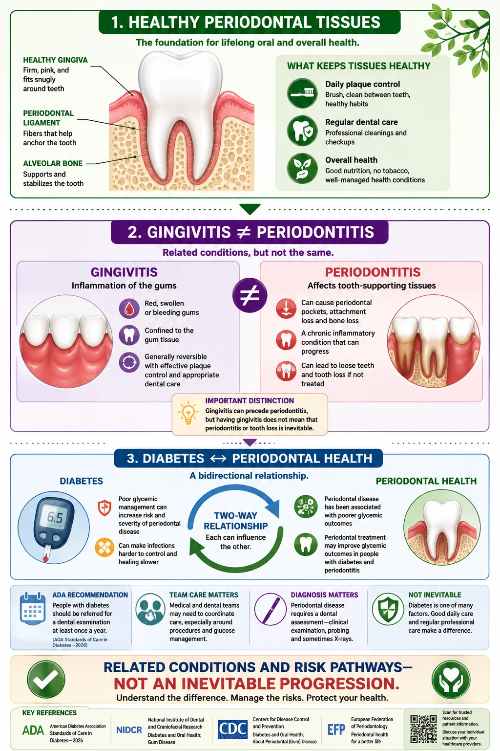 Infographic explaining healthy periodontal tissues, the difference between gingivitis and periodontitis, and the two-way relationship between diabetes and periodontal health