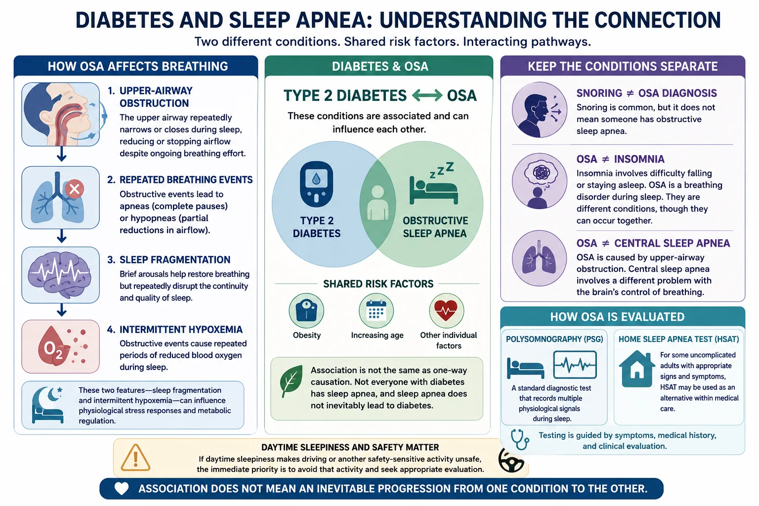Infographic explaining obstructive sleep apnea breathing events, its association with type 2 diabetes, key diagnostic distinctions, and sleep testing