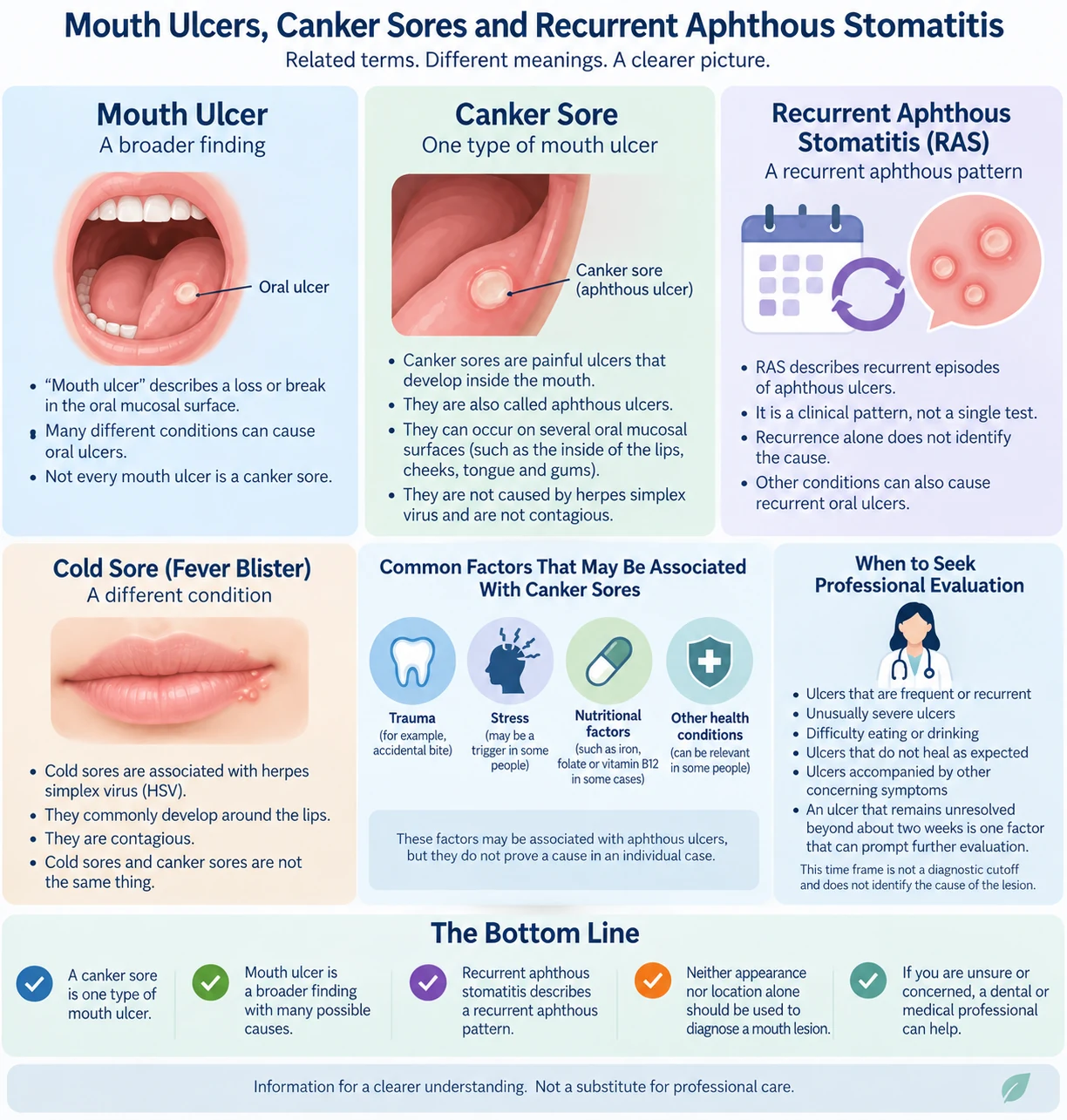 Infographic explaining that mouth ulcer is a broader finding, a canker sore is one type of mouth ulcer, and recurrent aphthous stomatitis describes a recurrent aphthous pattern
